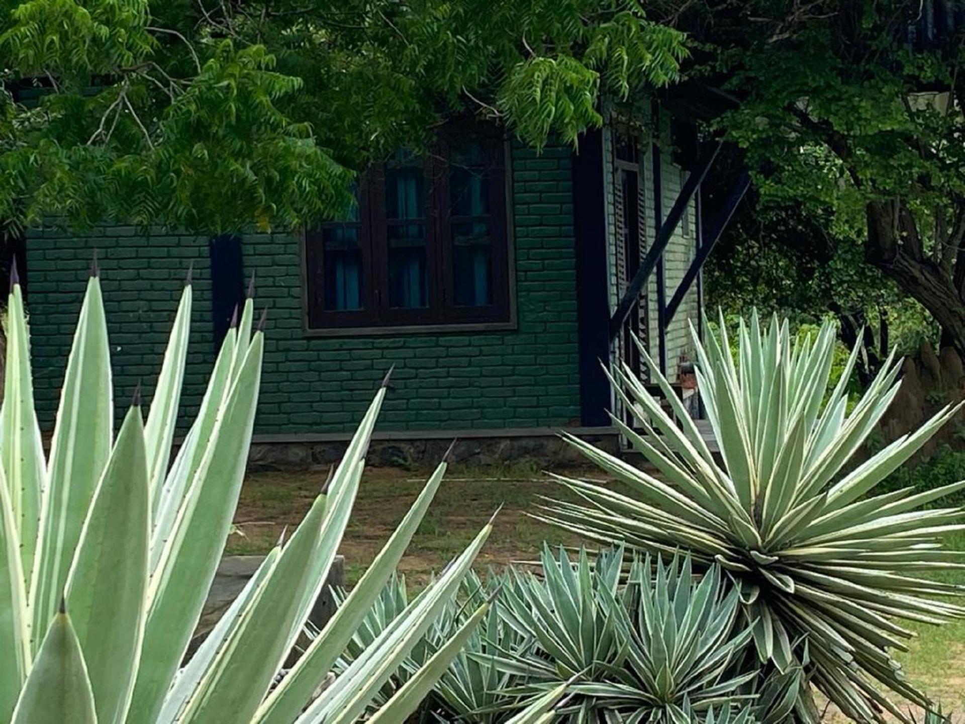 Yala Ying Yang Hostel & Camping Zewnętrze zdjęcie