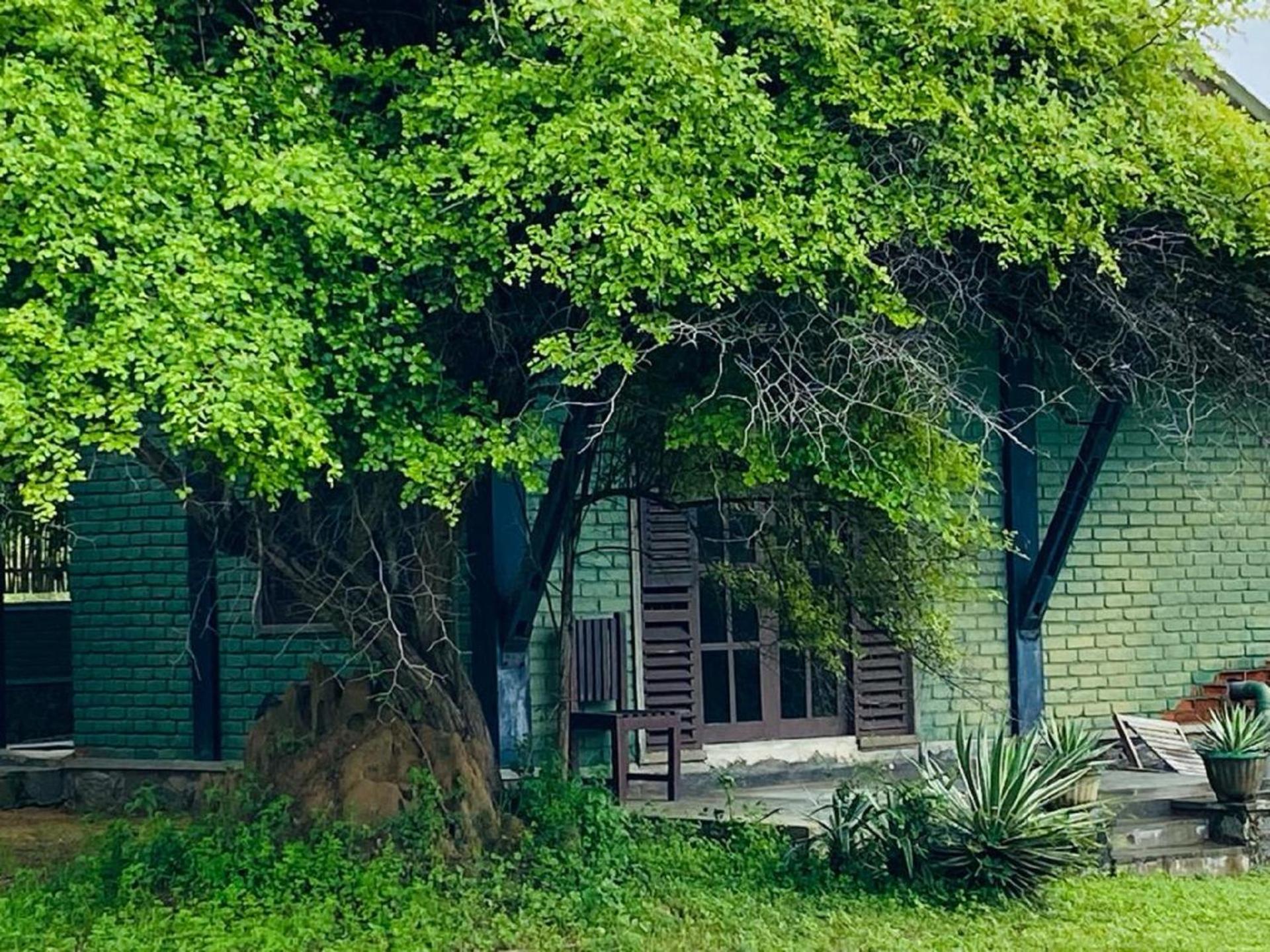 Yala Ying Yang Hostel & Camping Zewnętrze zdjęcie