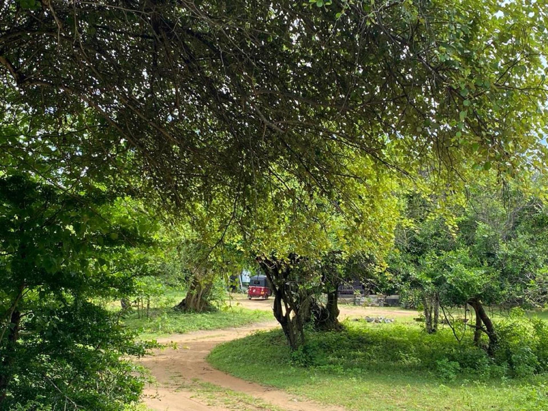 Yala Ying Yang Hostel & Camping Zewnętrze zdjęcie