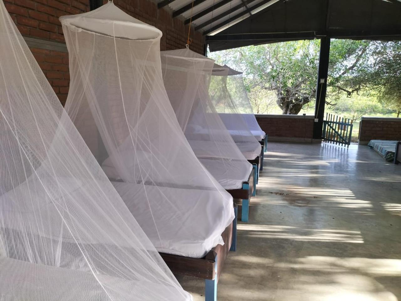 Yala Ying Yang Hostel & Camping Zewnętrze zdjęcie