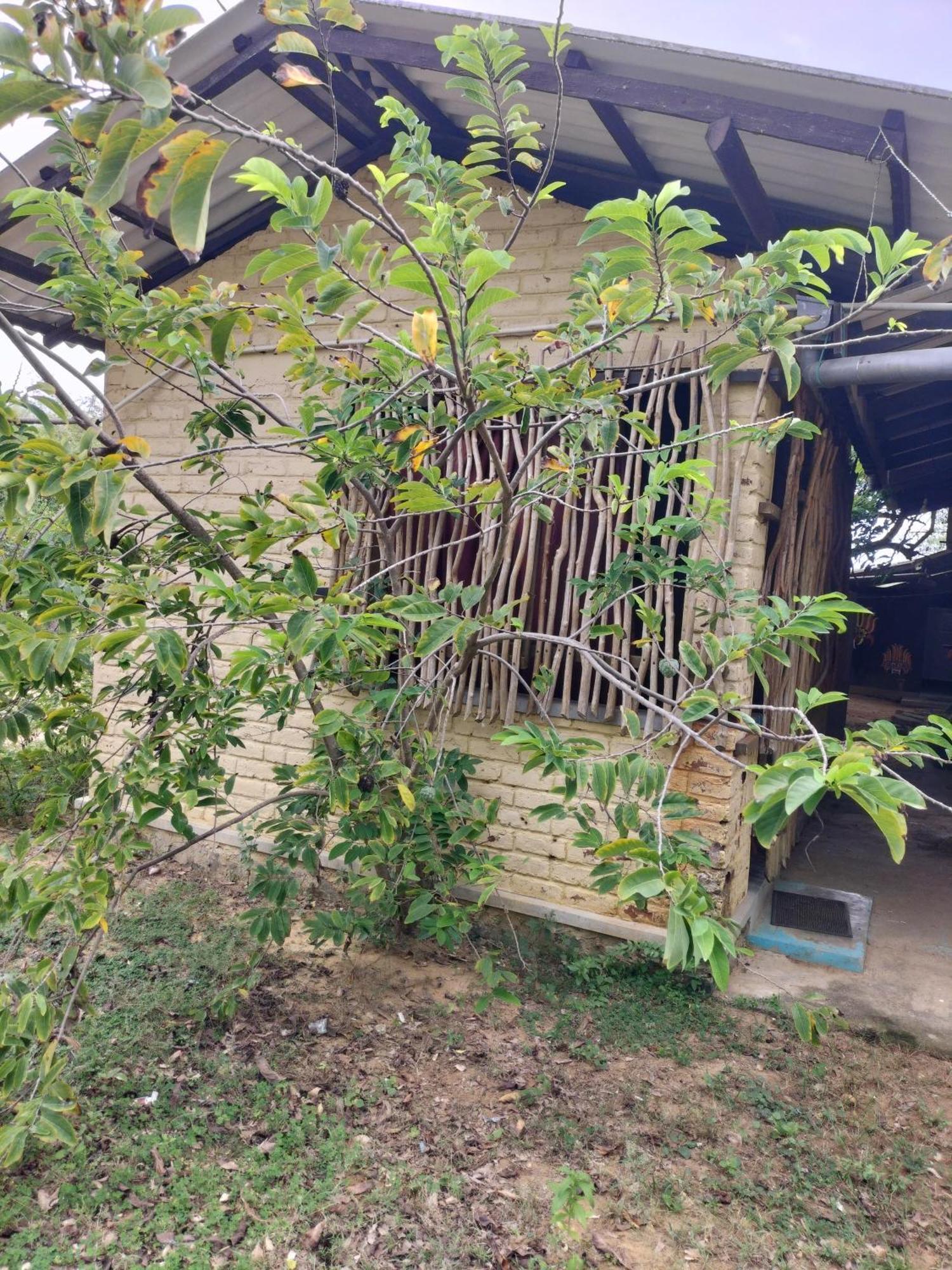 Yala Ying Yang Hostel & Camping Zewnętrze zdjęcie